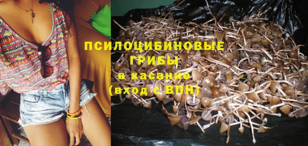 MESCALINE Алзамай