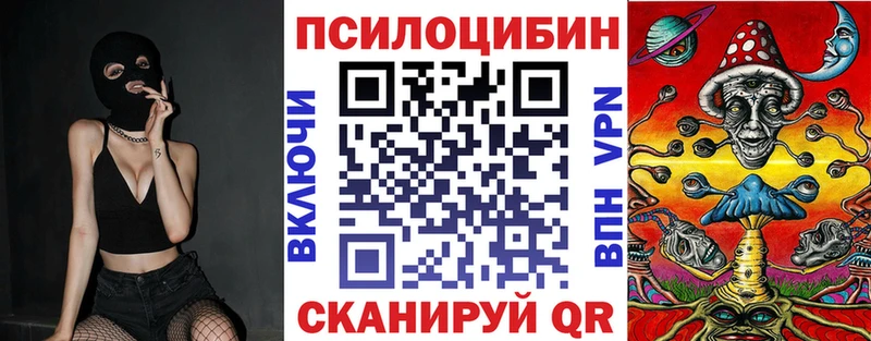 Псилоцибиновые грибы мицелий где найти наркотики Нововоронеж