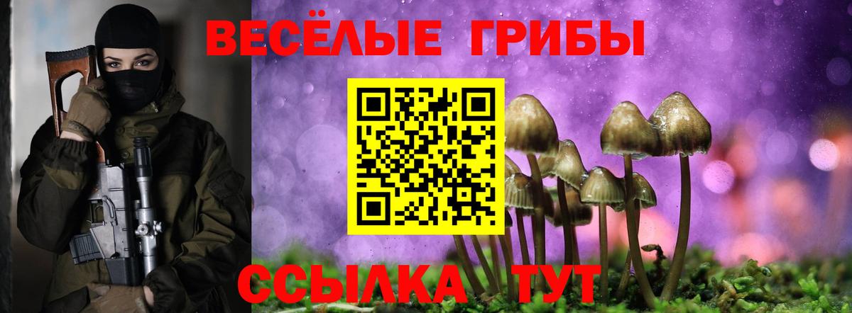 Галлюциногенные грибы ЛСД Нововоронеж