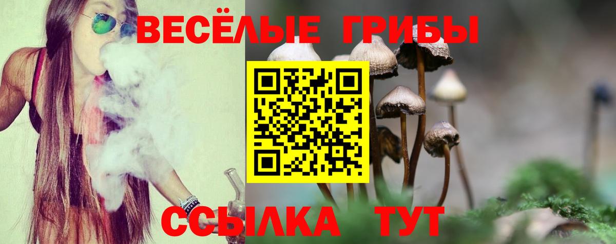 Галлюциногенные грибы MAGIC MUSHROOMS  Псилоцибиновые грибы мухоморы  Нововоронеж  Вход с VPN 
