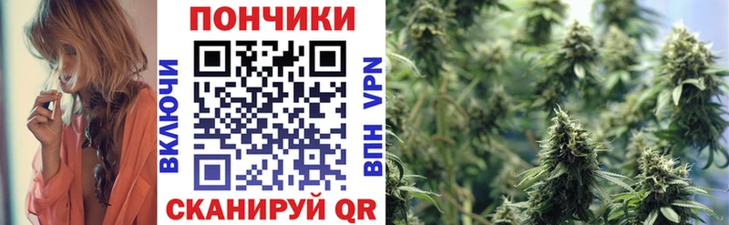 Бошки марихуана OG Kush купить сайты Нововоронеж